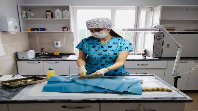 Körfezde sokak hayvanlarının ihtiyaçları karşılanıyor