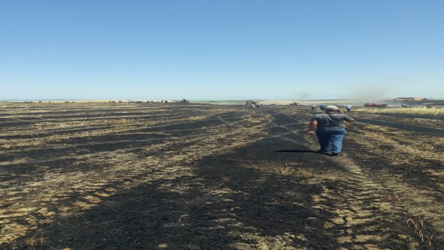 Kozanda 15 dönüm buğday kül oldu