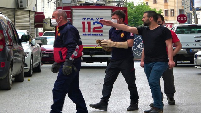 Kurtardıkları yavrunun annesini bulabilmek için sokak sokak dolaştılar