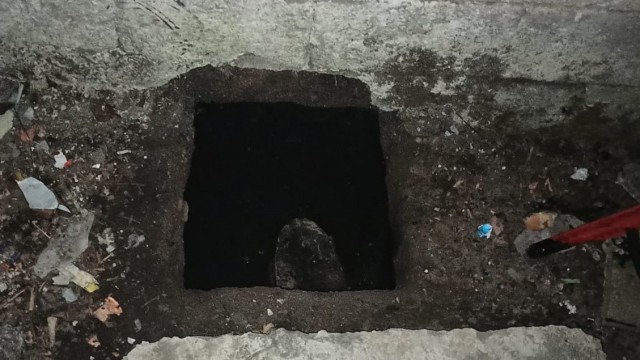 Kurtarılan yavru kediyi, berber dükkanında saç kurutma makinesiyle kuruttular