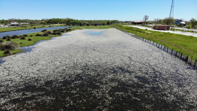 Kuş Cenneti beyaz gelinliğini giydi