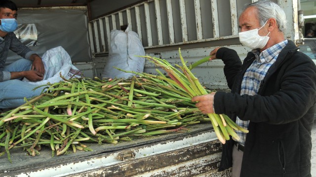 Lösemi hastalarının umudu olan bitki tezgahlarda yerini aldı