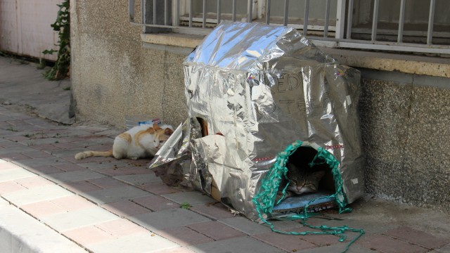 Mahalle sakinlerinden duyarlı davranış