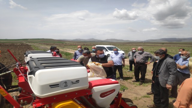 Malatyada kayısıya alternatif: Kabak