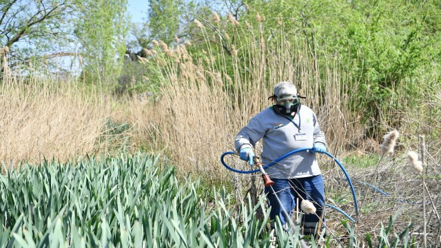 Mamak Belediyesinden haşere ile mücadele