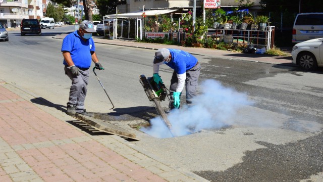 Manavgatta zararlılara karşı toplu mücadele