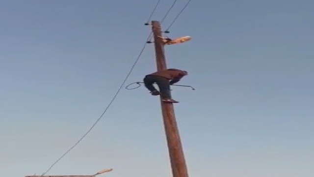 Mardinde direkte mahsur kalan kedinin cesaretlendiği dakikalar yüzleri güldürdü