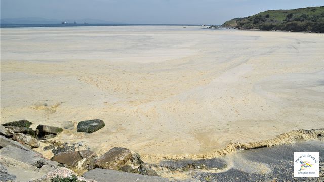 Marmara Denizi Alarm Veriyor