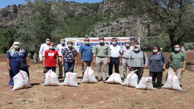 Marmaris Belediyesinden çiftçilere tohumluk fıstık