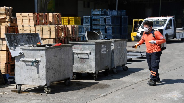 Mersinde Akdeniz Meyve Sineği ile mücadele sürüyor