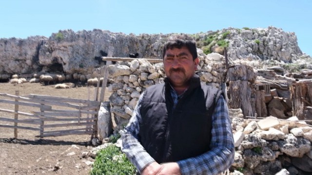 Mersinde kurtların saldırısına uğrayan 70 küçükbaş hayvan telef oldu