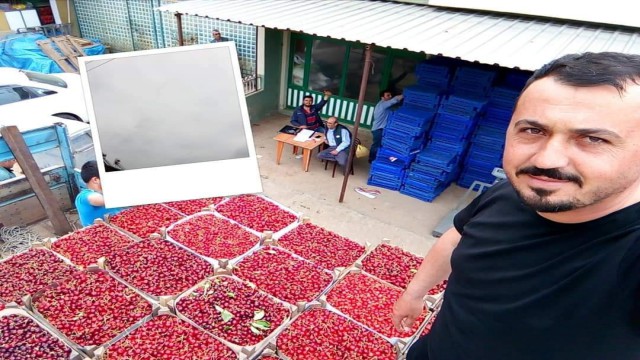Mevsimin ilk karabodur kirazı görücüye çıktı