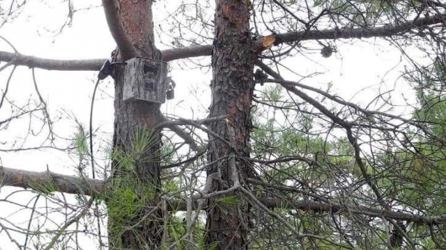 Milli Parklar Müdürlüğünden önemli açıklama