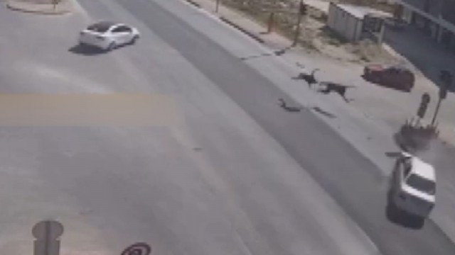 Motosiklet sürücüsünün öldüğü kaza kamerada