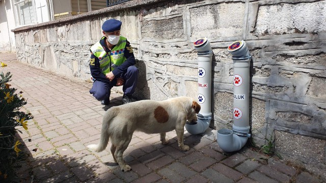 Nazilli Jandarma Timlerinden ‘Bir Kap Can Projesi