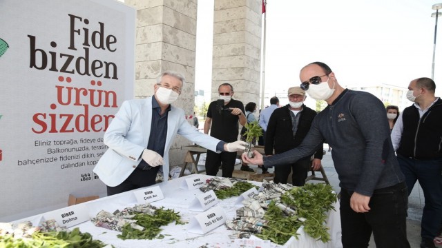 Nilüferde 250 bin fide halka dağıtılacak