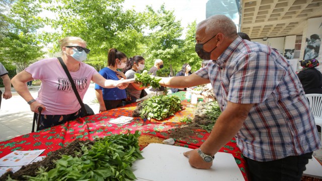 Nilüferde balkonlar mini bostana dönüşecek