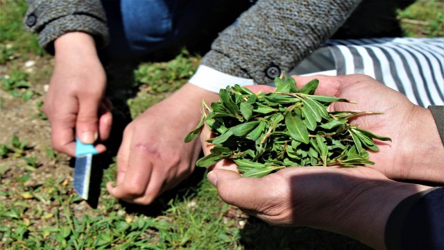 Onlarca çeşit yemeği yapılıyor, hepsi birbirinden dikkat çekiyor