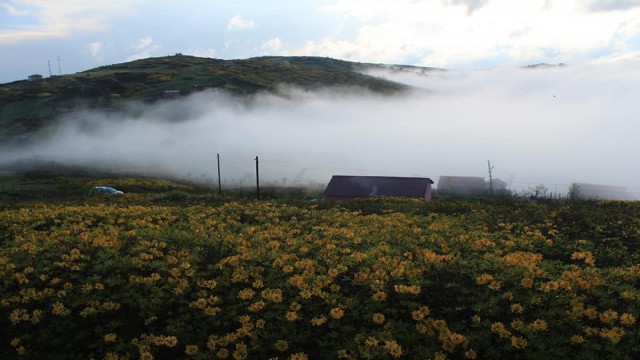 Ordu yaylalarında kartpostallık görüntüler