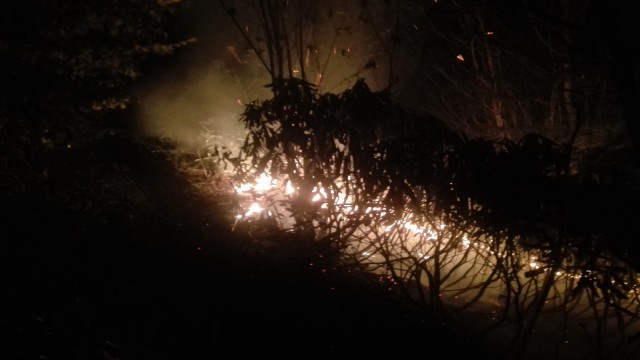 Orduda ormanlık alandaki yangına müdahale sürüyor