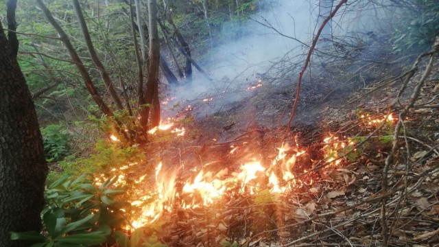 Orduda örtü yangını