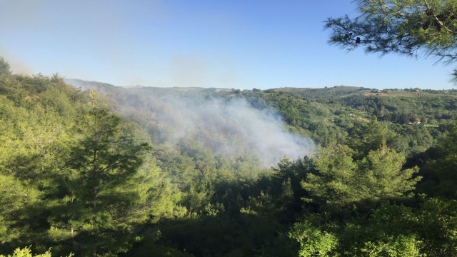 Osmaniyede orman yangını