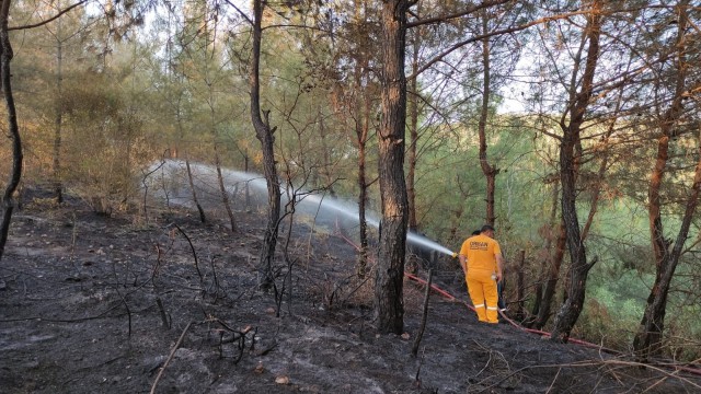 Osmaniyedeki orman yangını söndürüldü