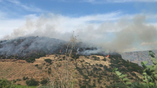 Otluk alanda çıkan yangın ormana sıçradı