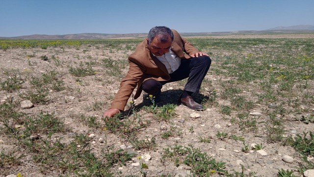 Özalp ilçesinde kuraklık endişesi