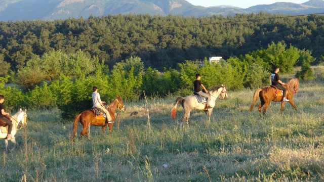 (Özel) Balıkesirde yeni gözde atlı safari