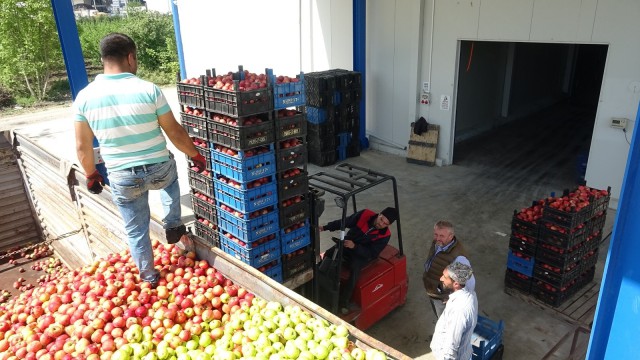 (Özel) Bursada tonlarca meyve soğuk hava depolarında kaldı