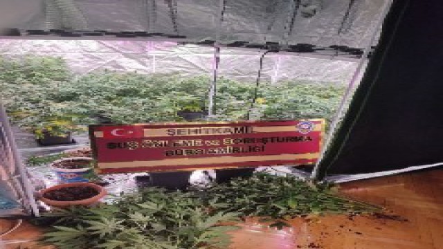 Özel düzenekle uyuşturucu yetiştirilen eve operasyon