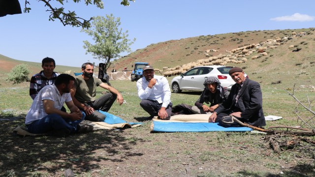(Özel) Erzincanda göçerlerin yaylalardaki mesaisi başladı