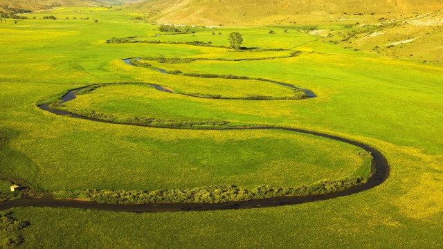 (Özel) Sarı çiçeklerle süslenen menderesler görsel şölen sunuyor