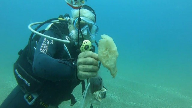 (Özel) Tam kapanma deniz canlılarına nefes oldu