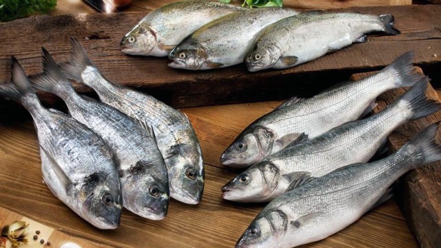 Pandemi döneminde Muğladan 410 milyon dolarlık balık ihracatı