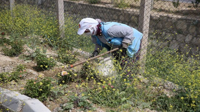 Park ve yeşil alanlarda yaz hazırlığı