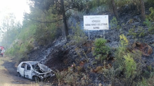 Patlayan araç orman yangınına sebep oldu