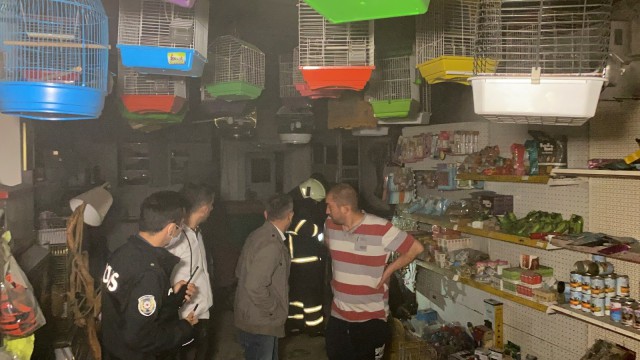 Pet shop mağazasında yangın çıktı