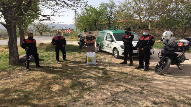 Polisler sokak kısıtlamasında hayvanları besledi