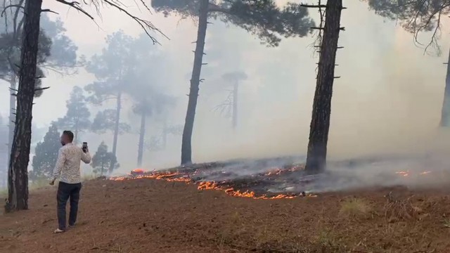 Pozantıda orman yangını
