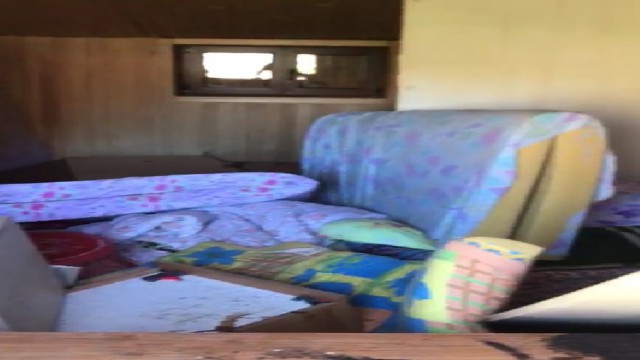 Rizede aç kalan ayı evin altını üstüne getirdi