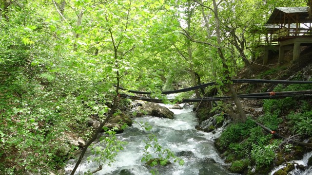 Saimbeylideki gizli doğa cenneti Pağnık keşfedilmeyi bekliyor