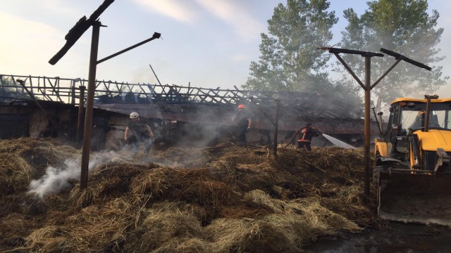 Sakaryada çiftlikte yangın: 4 büyükbaş hayvan telef oldu, yüzlerce saman yandı
