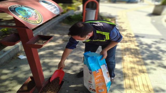 Salgında sokak hayvanlarına özel ilgi