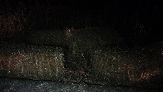 Saman balyalarının üzerinde yolculuk yapan çiftçi virajda yola düştü