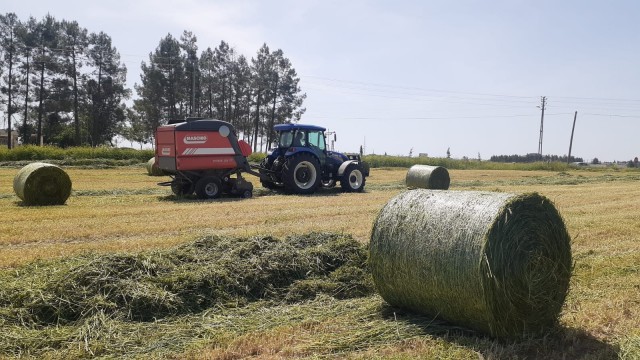 Samsatta modern tekniklerle yem bitkileri üretiliyor