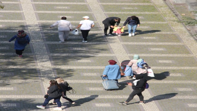 Samsunun doğurganlık hızı plaka rakamında