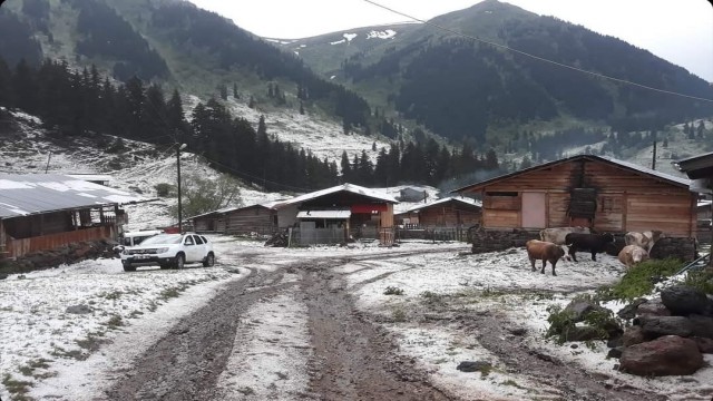 Şavşatın köyleri dolu yağışıyla beyaza büründü