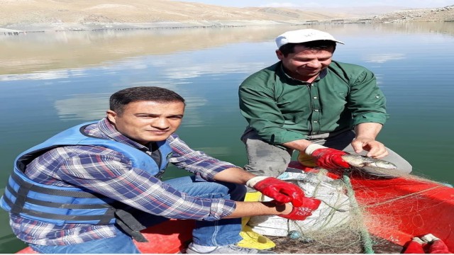 Sazangillerin av yasağı devam ediyor